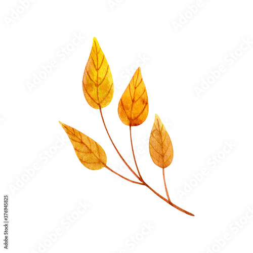 Orange autumn twig. Watercolor illustration isolated on white.