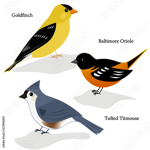 Goldfinch, Baltimore Oriole, Tufted Titmouse simple vectors