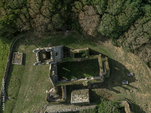 Aerial view of Castle Freke ruins, Rathbarry, Cork, Ireland photo