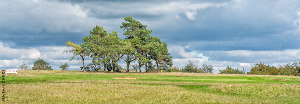 Picturesque golf course with fir trees, The Cotswolds, England, United Kingdom Picturesque golf course with fir trees, The Cotswolds, England, United Kingdom
