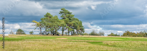 Picturesque golf course with fir trees, The Cotswolds, England, United Kingdom