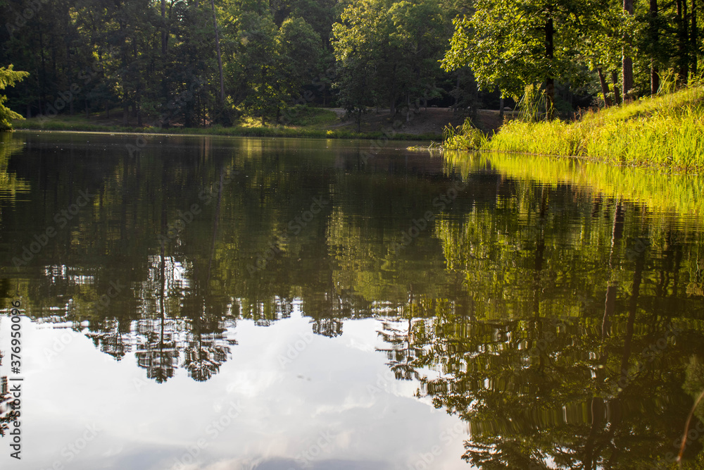 reflection of trees in the lake reflection of trees in the lake