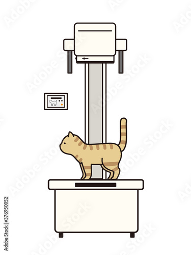 レントゲンを撮る猫とレントゲンの機材