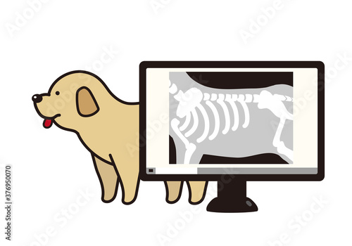犬とデジタルレントゲン写真