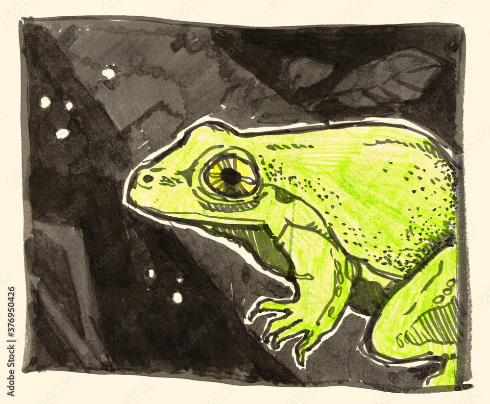Naklejka premium The frog on a black background. Sketchbook style. Sketch animal.
