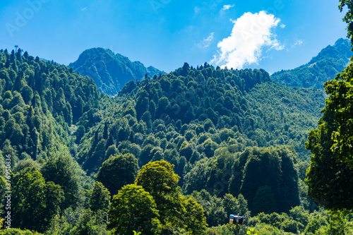 green forest, mountains against blue sky and sun.