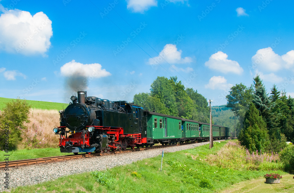 Naklejka premium Germany historic steam train.
