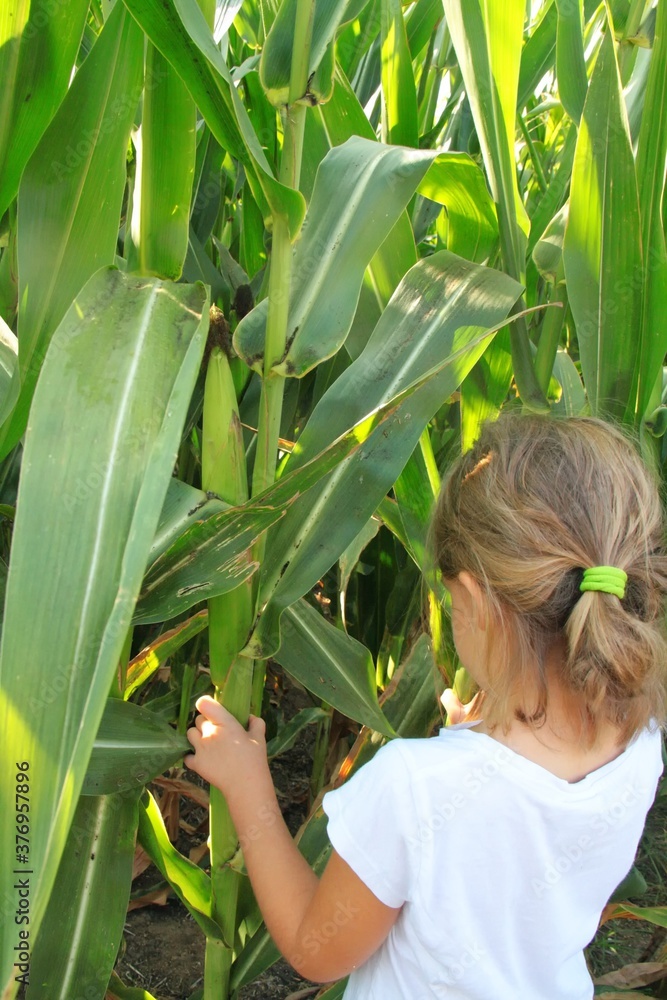 Little girl from behind plays hide and seek in the green outdoors. Little girl from behind plays hide and seek in the green outdoors.