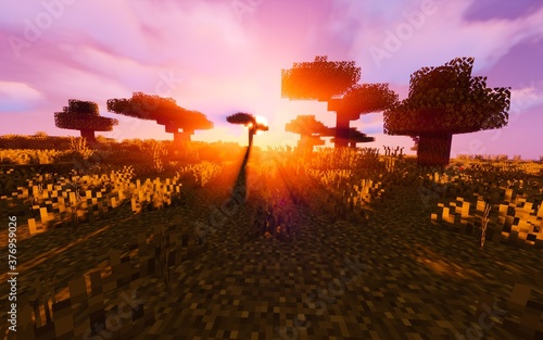Paysage de savane Minecraft