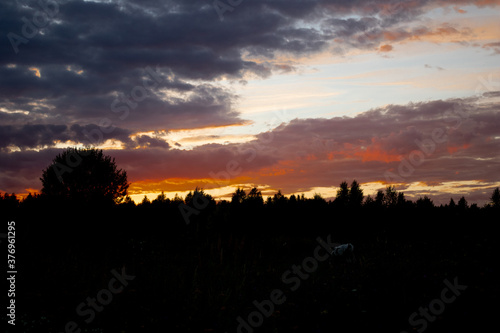 Wallpaper Mural Amazing sunset Torontodigital.ca