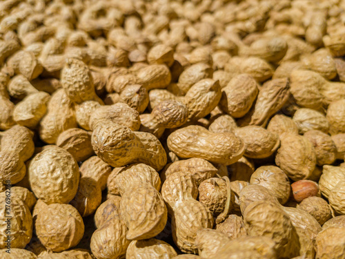 Large quantity of peanuts in pod, freshly harvested, dried in the sun. Ready to toast and select. Arachis Hypogaea, goober, pindar or nut.
Background, macro, close up. Grown in Extremadura, Spain.