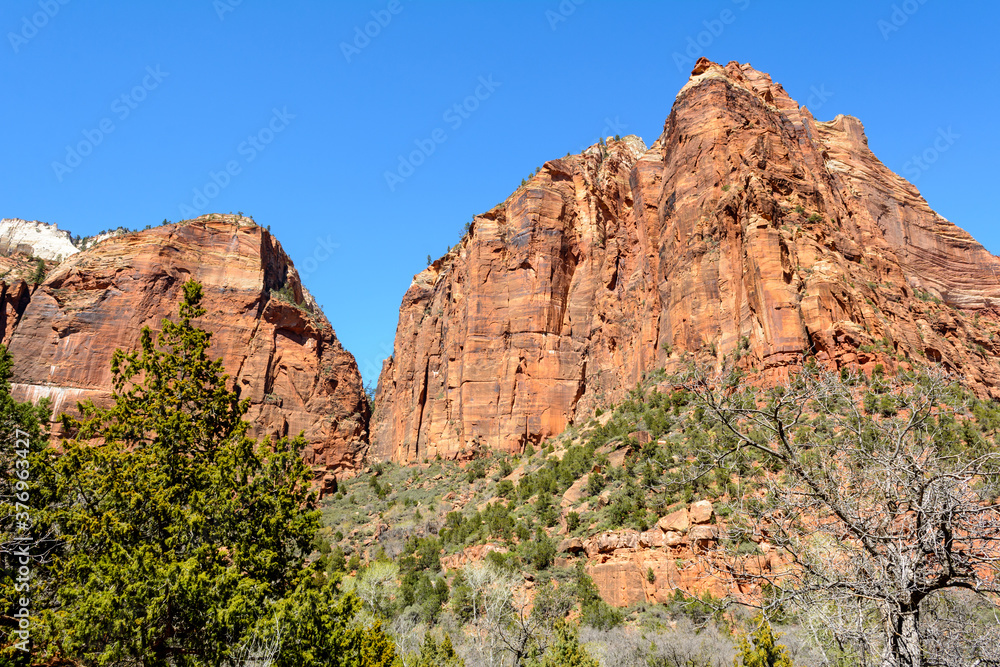 Beautiful scenery in Zion National Park located in the USA in southwestern Utah.