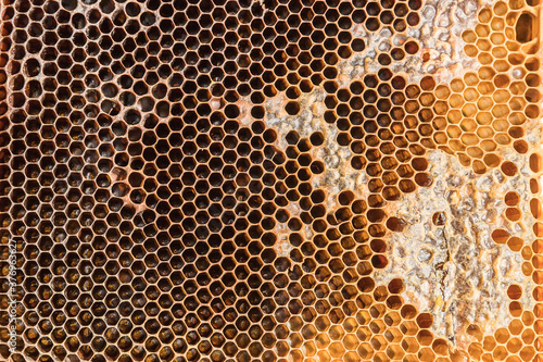 Close-up of a honeycomb full of honey