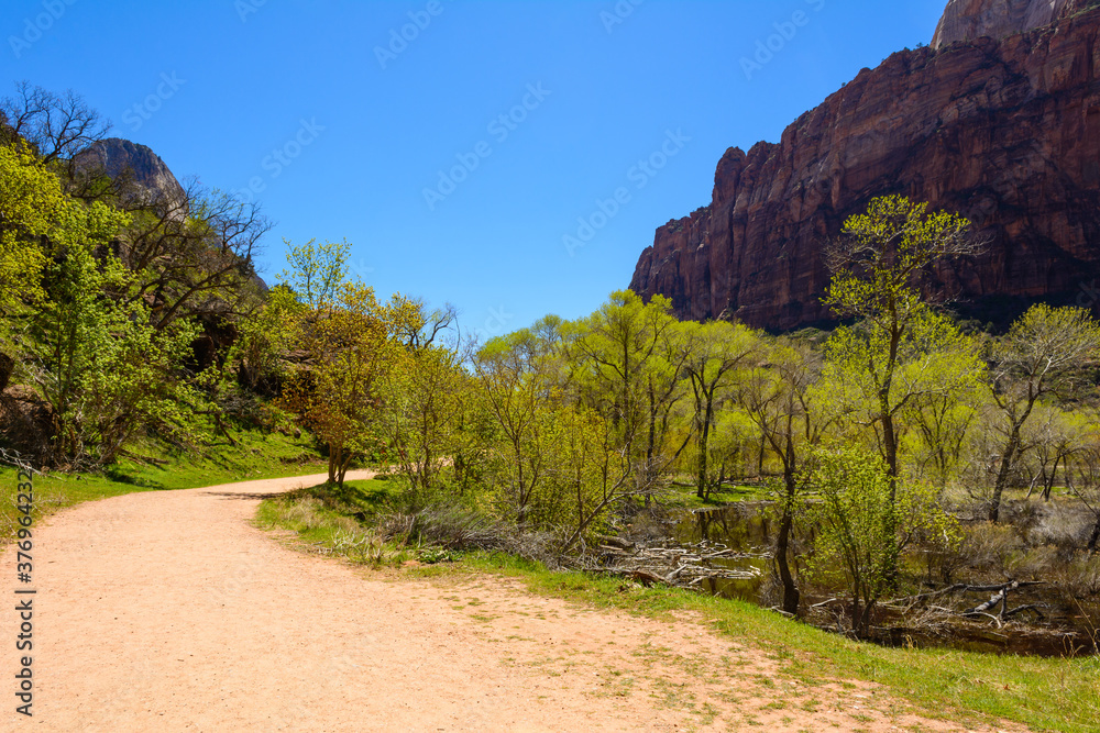 Obraz premium Beautiful scenery in Zion National Park located in the USA in southwestern Utah.