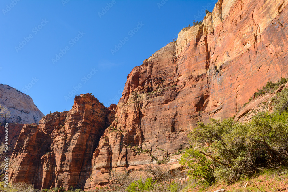 Beautiful scenery in Zion National Park located in the USA in southwestern Utah.