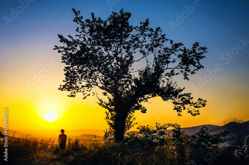  Silhouette of a young man at dusk under a tree