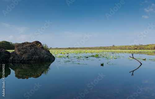 Schilderij op canvas Panoramic view of Kaas lake at the top of Kaas plateau in Maharashtra, India