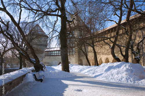 The Danish King's Garden (Taani Kuninga Aed) on Cathedral Hill (Toompea) with the city towers of Kiek in de Kök (Peek in the Kitchen) and Neitsitorn (Maidens' Tower) beyond: Tallinn, Estonia photo