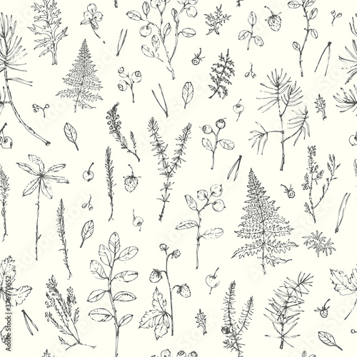 Hand drawn ink botanical seamless pattern