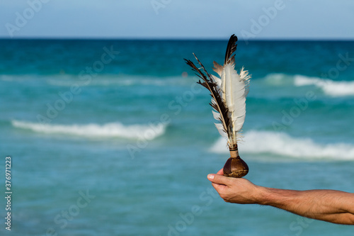 Canvas Print leather ball and feather