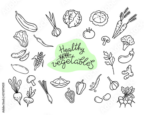 Healthy vegetables. Set of doodle elements. Vector hand drawn illustrations and lettering.