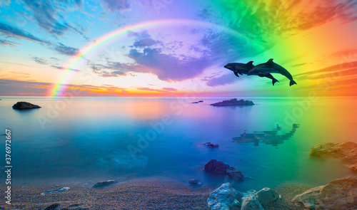 Group of dolphins jumping on the water at sunset  amazing rainbow in the background - Beautiful seascape and blue sky