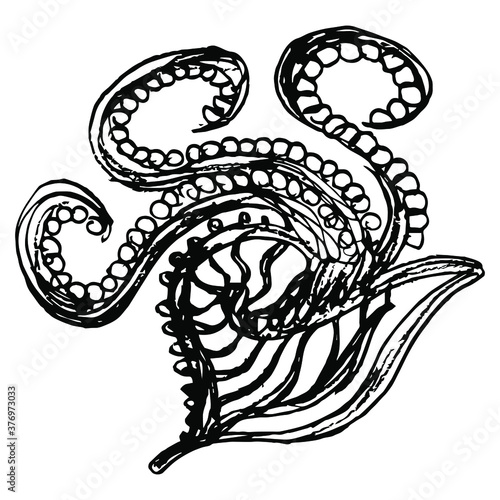 Silhouette of stylized Argonaut mollusk. Cretan Minoan motif. Isolated vector illustration. Hand drawn linear doodle rough sketch. Black silhouette on white background.	