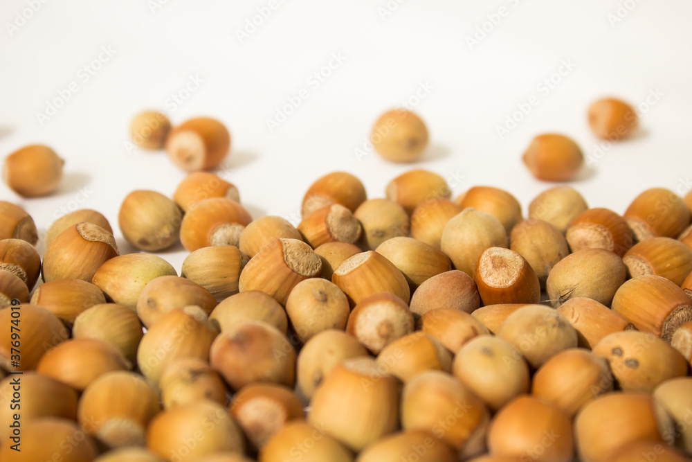 ripe hazelnuts in a peel on a white background ripe hazelnuts in a peel on a white background