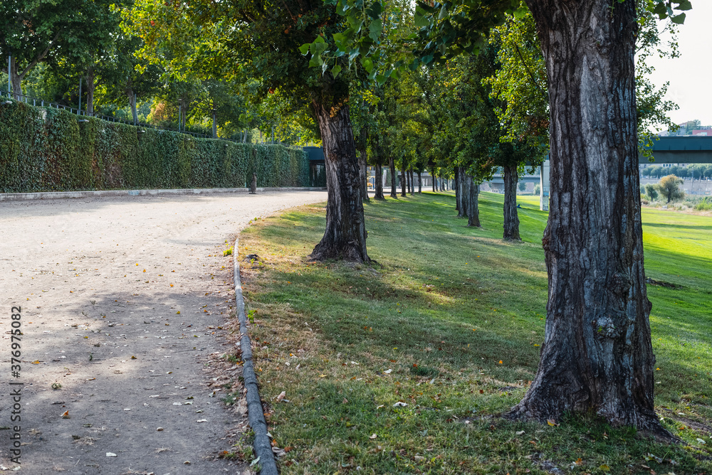 Path in the park with grass and trees.