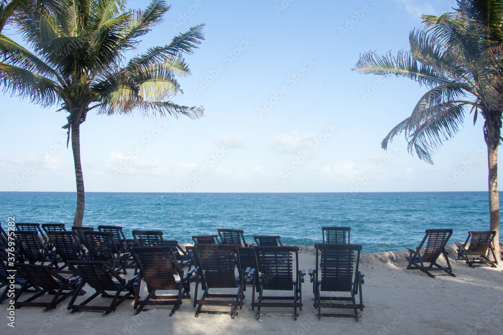 chairs and palms in the beach