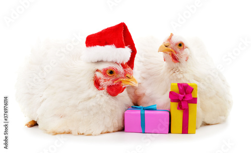Two chicks in Christmas ha with gifts.