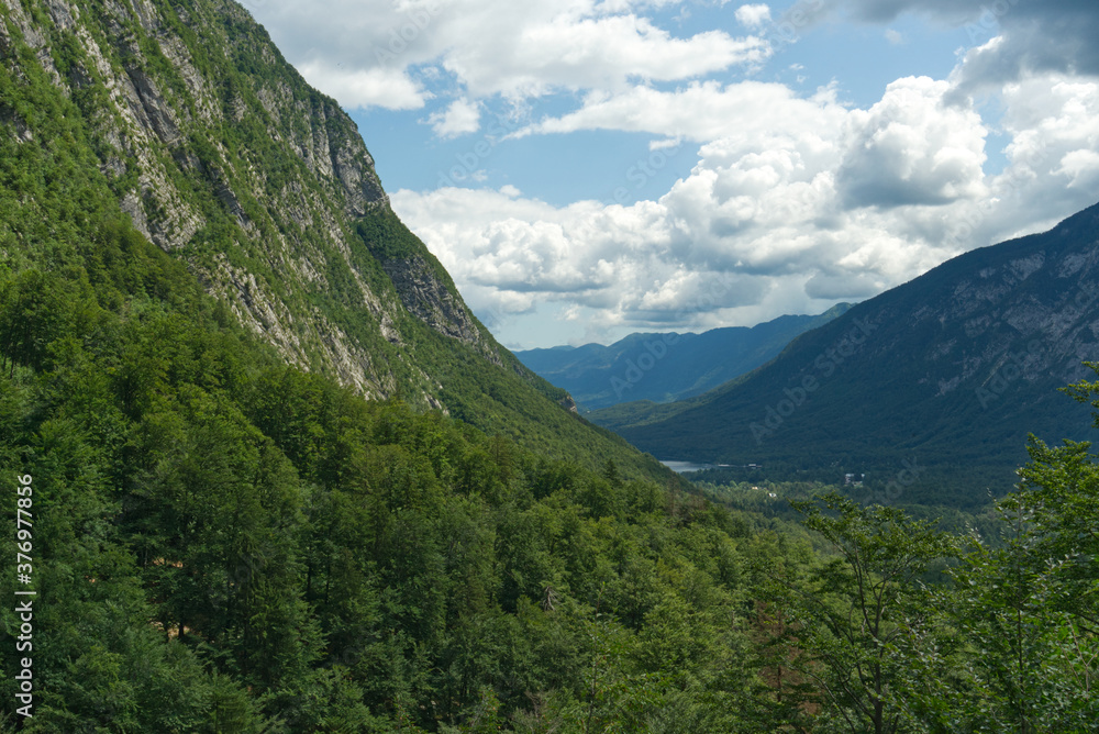 Wald in Triglav Nationalpark am Slap Savica in Slowenien mit Ausblick auf das Tal unter bewölktem Himmel