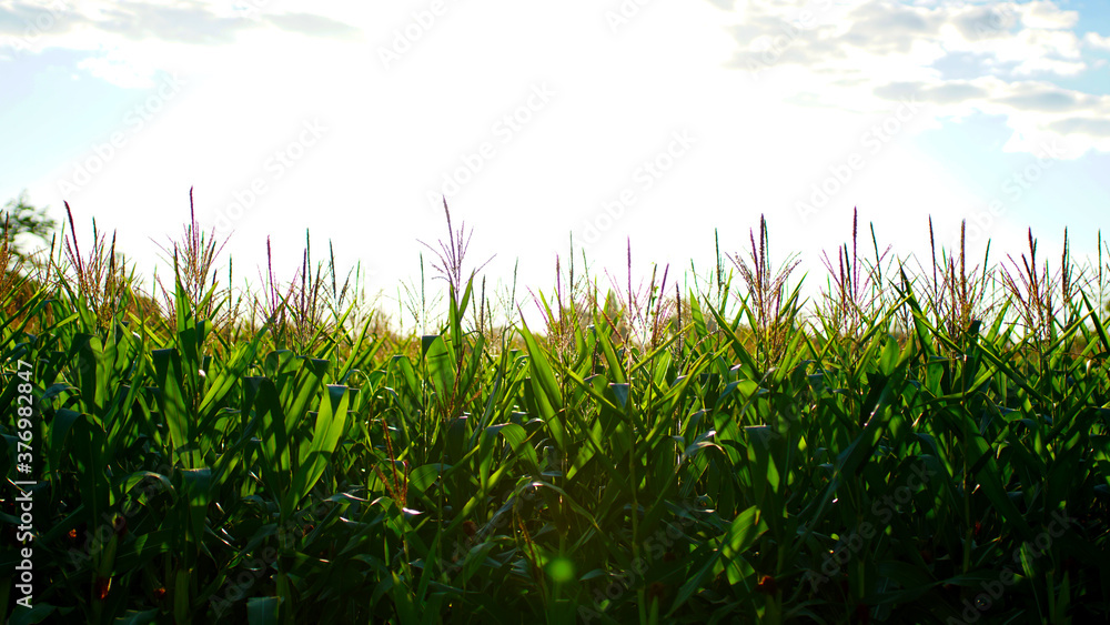 Obraz premium Bright spring view of the Island. Pictures morning scene on th. Beauty of nature concept background.
