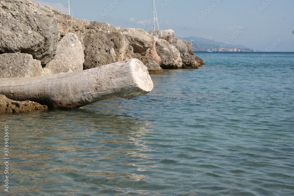 Fototapeta premium Log under the port