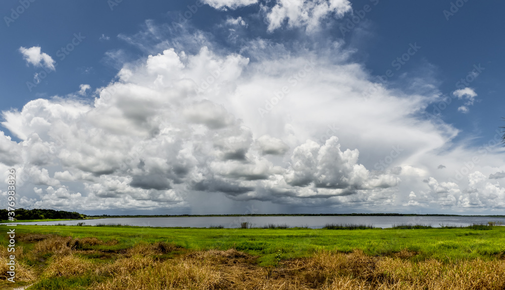 Large white summer storm clouds over Upper Myakka Lake in Myakka River State Park in Sarasota Florida USA Large white summer storm clouds over Upper Myakka Lake in Myakka River State Park in Sarasota Florida USA