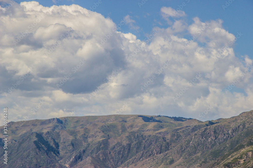 Fototapeta premium Landscape with hills, clouds and the blue sky. August scenery in Kazakhstani steppe.