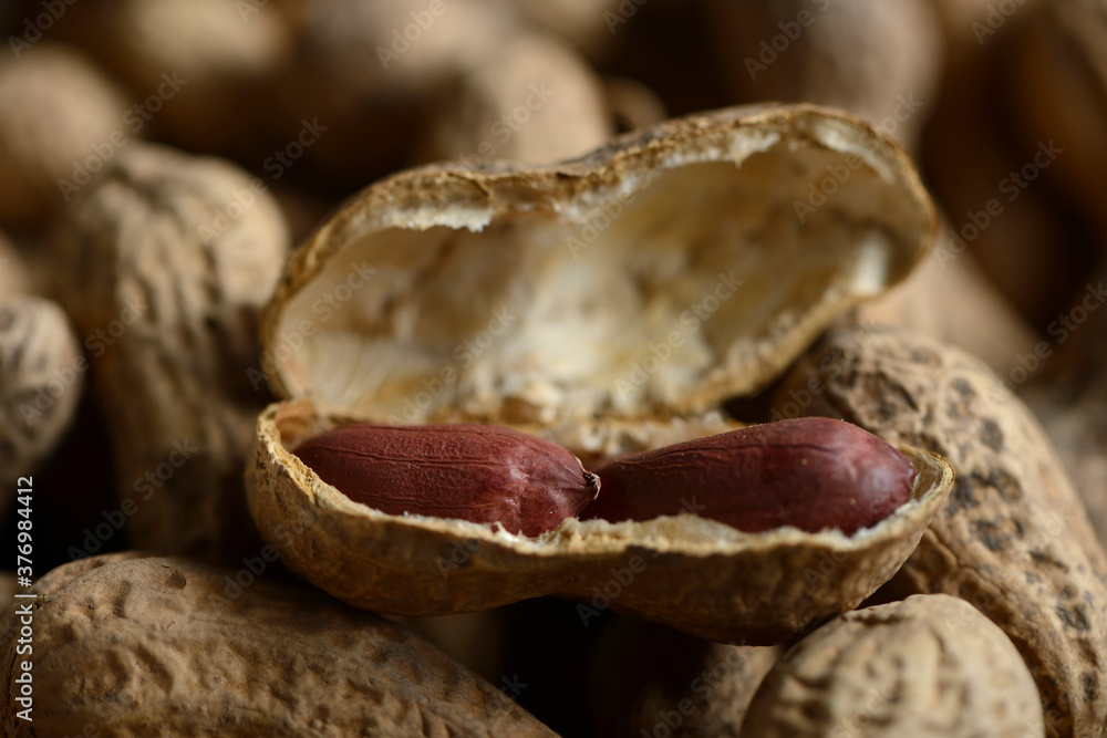 Cacahuate Cacahuate