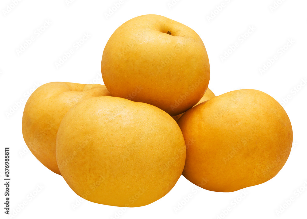 Asian pears on white background. Asian pears on white background.