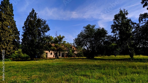 landscape with trees and aabandoned house