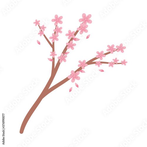 banch tree sakura flowers foliage decoration isolated icon style