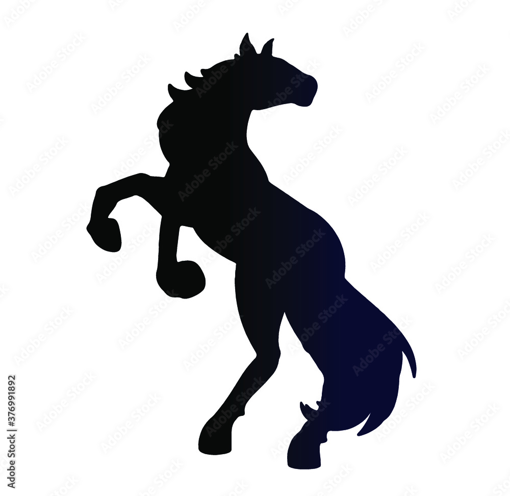 silhouette of a horse silhouette of a horse