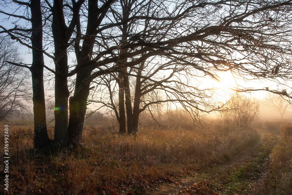 Fall landscape. Late misty morning. Fall landscape. Late misty morning.