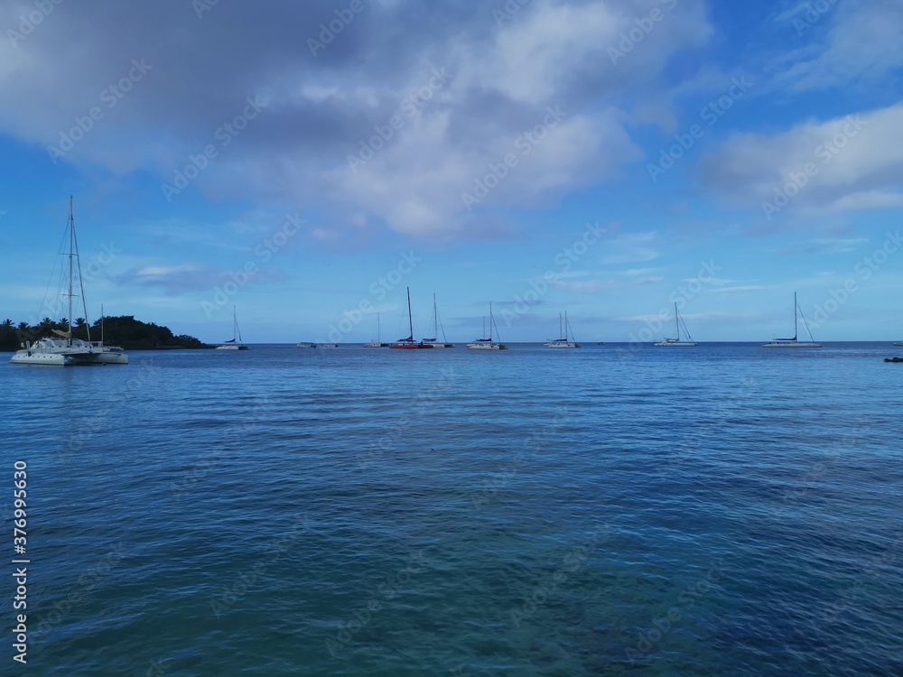 boats in the harbor