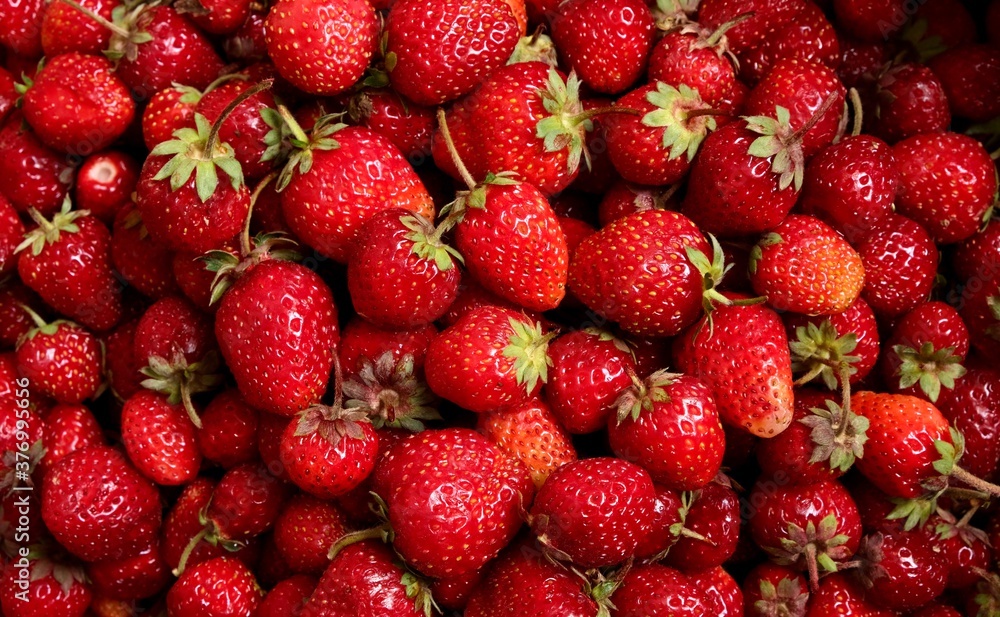Background from organic strawberry. Close up, top view. Harvest concept. Background from organic strawberry. Close up, top view. Harvest concept.