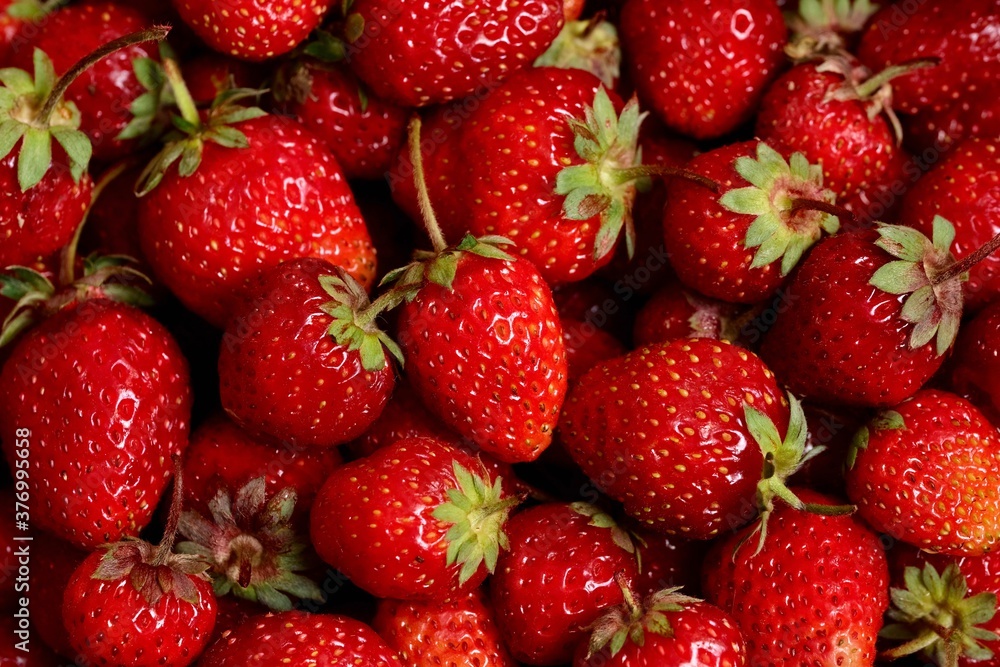 Background from organic strawberry. Close up, top view. Harvest concept. Background from organic strawberry. Close up, top view. Harvest concept.