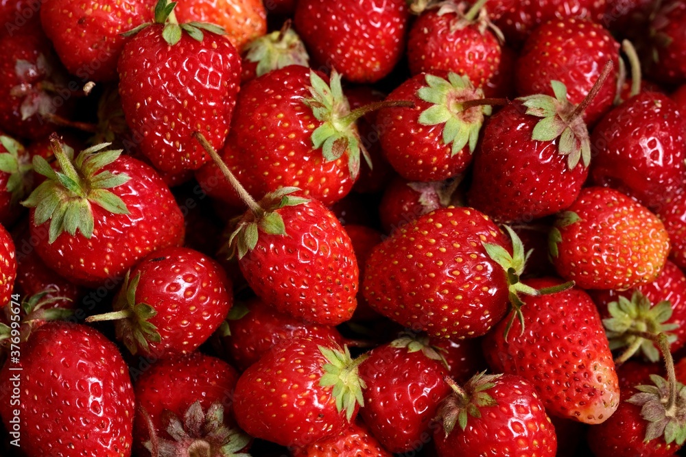 Background from organic strawberry. Close up, top view. Harvest concept. Background from organic strawberry. Close up, top view. Harvest concept.