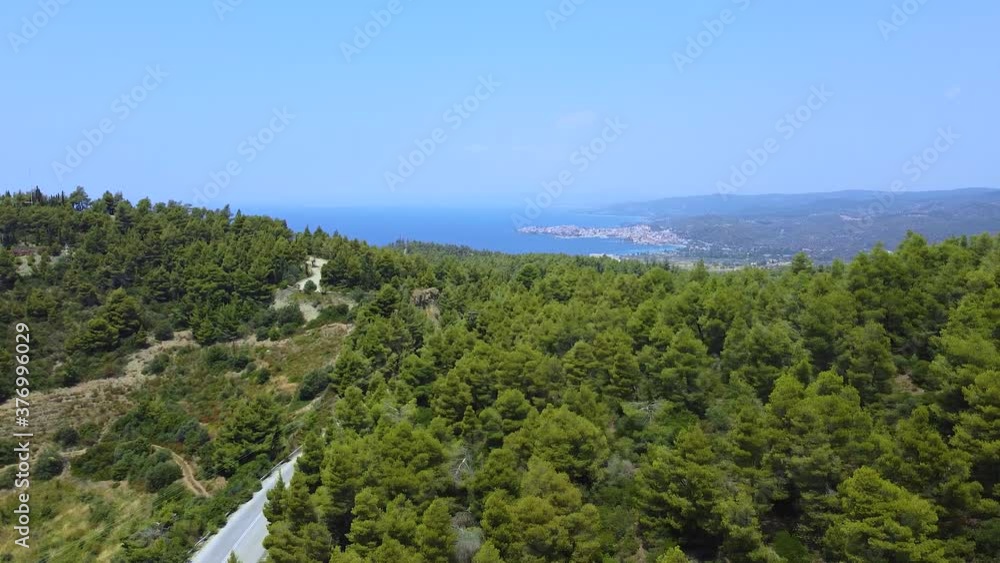 Aerial view of tropic blue open sea and coast with green pine trees Aerial view of tropic blue open sea and coast with green pine trees