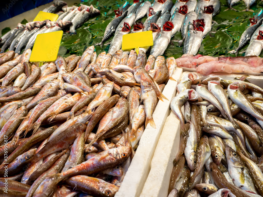 Fish shop, mixed type fish and fish stands