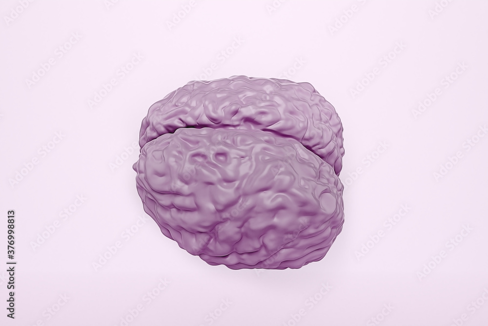 human brain model on light background, 3d illustration human brain model on light background, 3d illustration