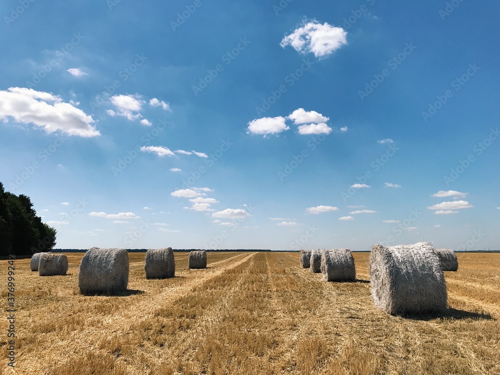 A two thirds symmetry shot of straw stack on a mown field. Round hay bale on bright yellow background.